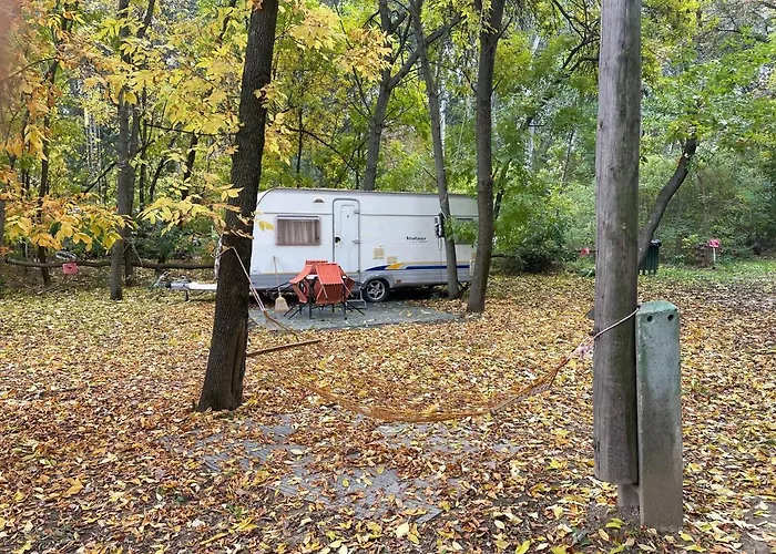 Tisza beach Wild Camping 2