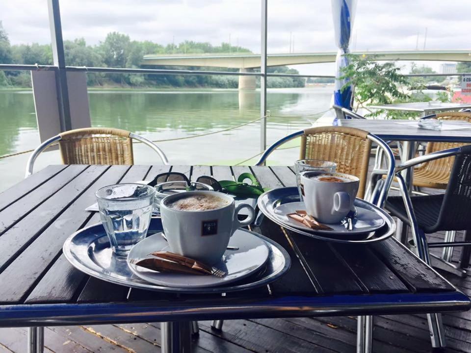 Tisza Wild 2 Segedyn