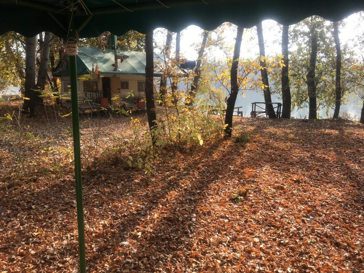 Tisza Wild 2 Segedyn