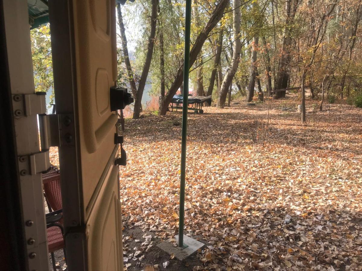 Tisza Wild 2 * Segedyn