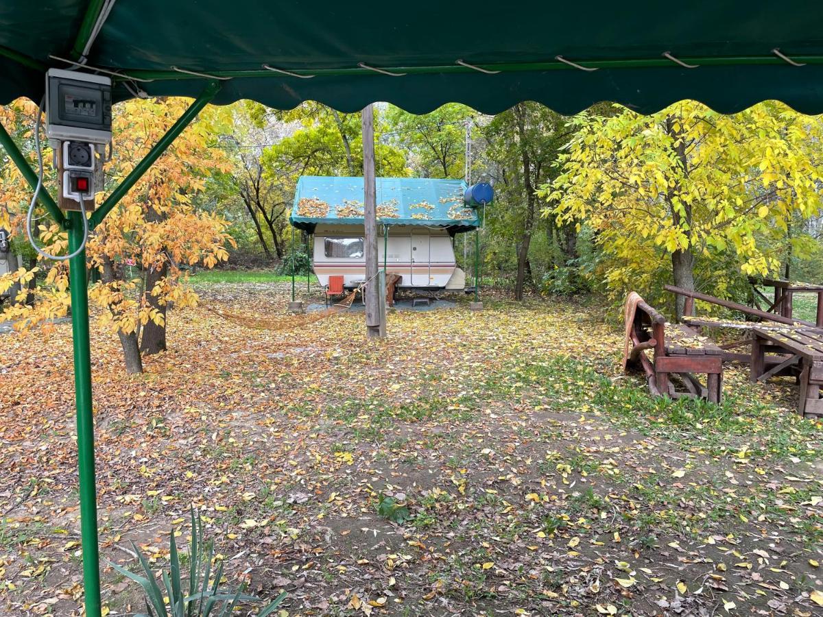 Tisza Wild 2