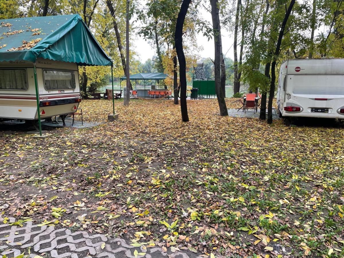 Tisza Wild 2 *